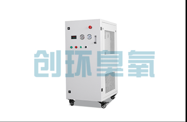 德宏工厂化养鲈必看：2026年臭氧发生器替代传统消毒的最新方案