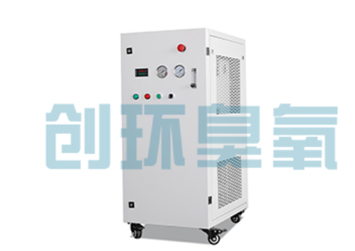 德宏石斑鱼养殖水质调控完整指南：臭氧发生器配置与操作步骤