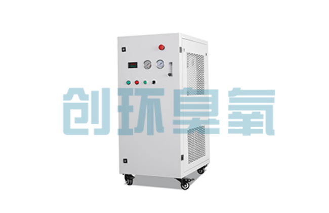 德宏比传统换水更高效？臭氧发生器在石斑鱼养殖中的水质净化原理解析